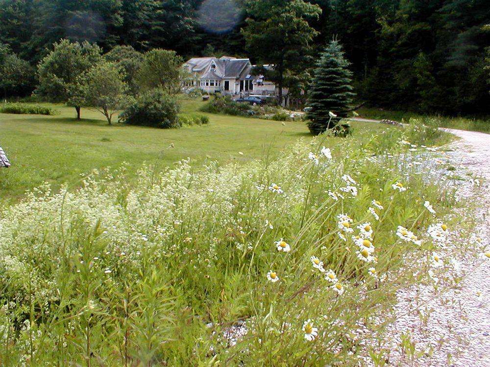 Mountain Valley Retreat Killington Extérieur photo
